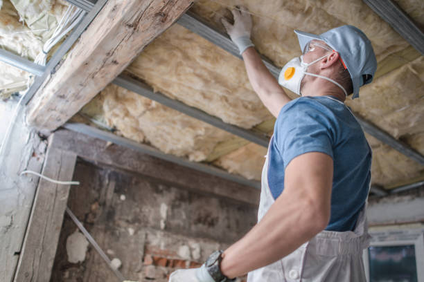 Best Garage Insulation Installation  in Biscoe, NC