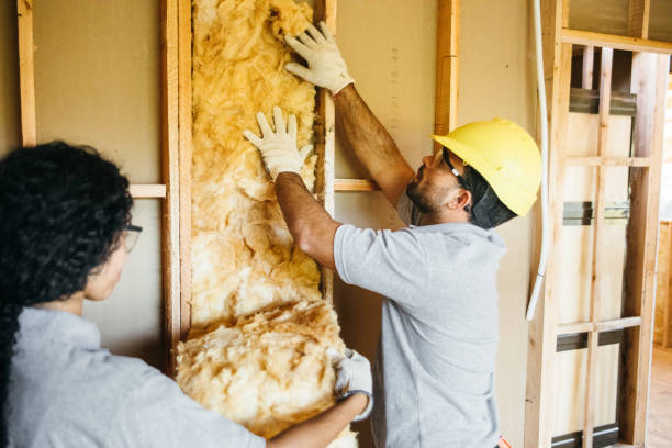 Best Professional Insulation Contractor  in Biscoe, NC