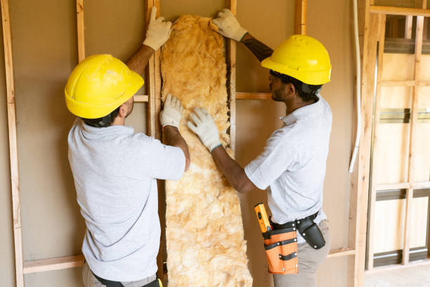 Best Insulation Repair Services  in Biscoe, NC