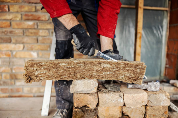 Best Insulation Replacement Services  in Biscoe, NC