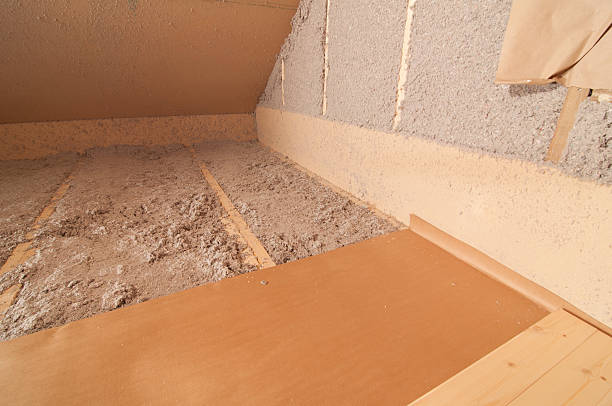 Best Insulation Inspection Services  in Biscoe, NC