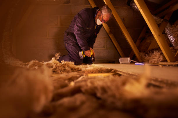 Best Insulation Repair Services  in Biscoe, NC